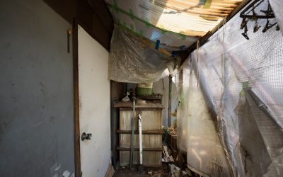 La Evolución del Movimiento Okupa en España